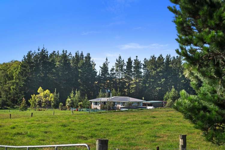 374 Riverside Road Okuku_26