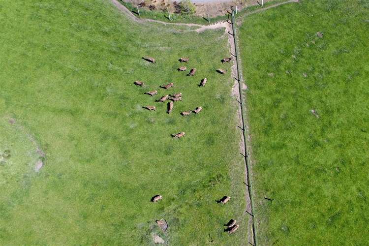 190 Hawkesbury Road Hawkesbury_20