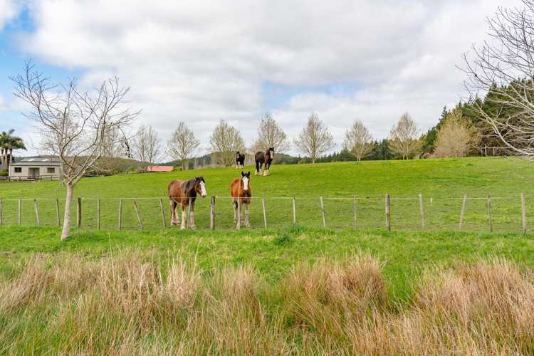 255 Ararimu Valley Road Waimauku_8