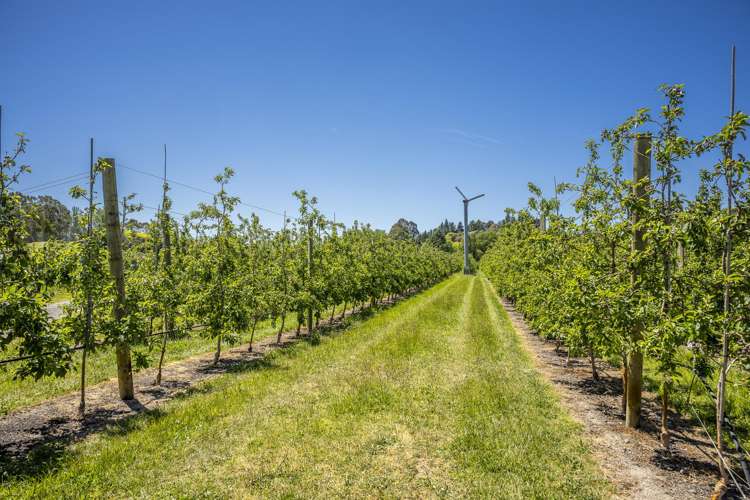 490 Puketitiri Road, Puketapu Napier South_10