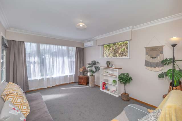 43 Trafalgar Street Levin_3