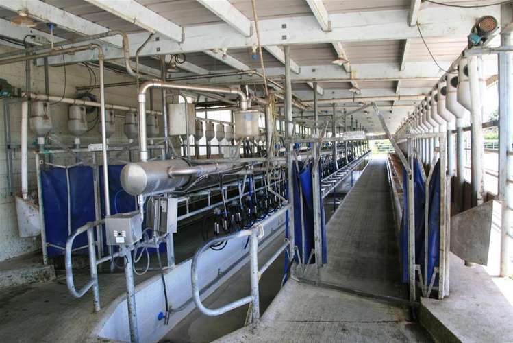 248 Bird Road Stratford_12