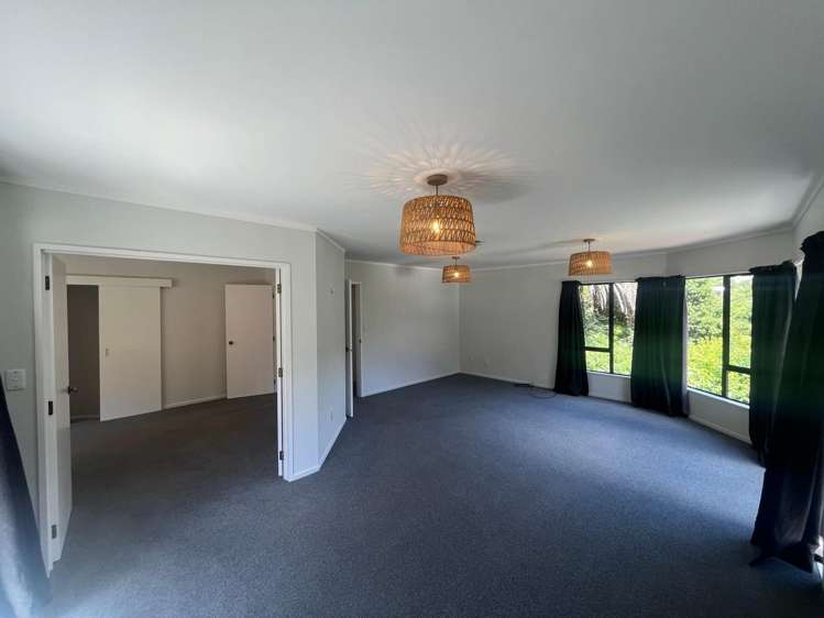48 Norway Street Aro Valley_10