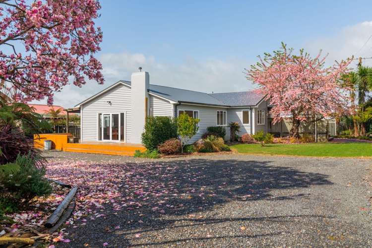 736 Park Road Te Awamutu_0