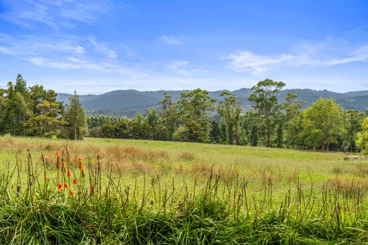 559 Old Kaipara Road Kaipara Flats_20