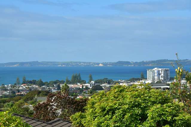 99 Waldorf Crescent Orewa_1