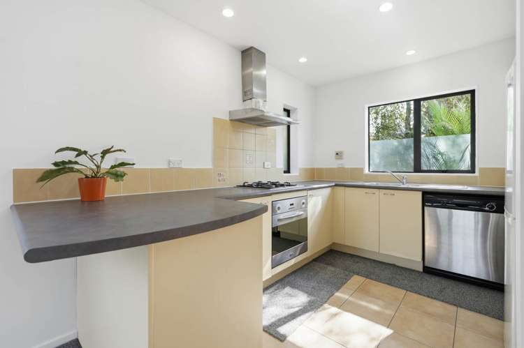 40A Wingate Street Avondale_8