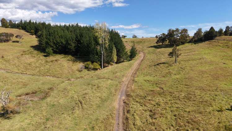 2934 State Highway 1 Umawera_10