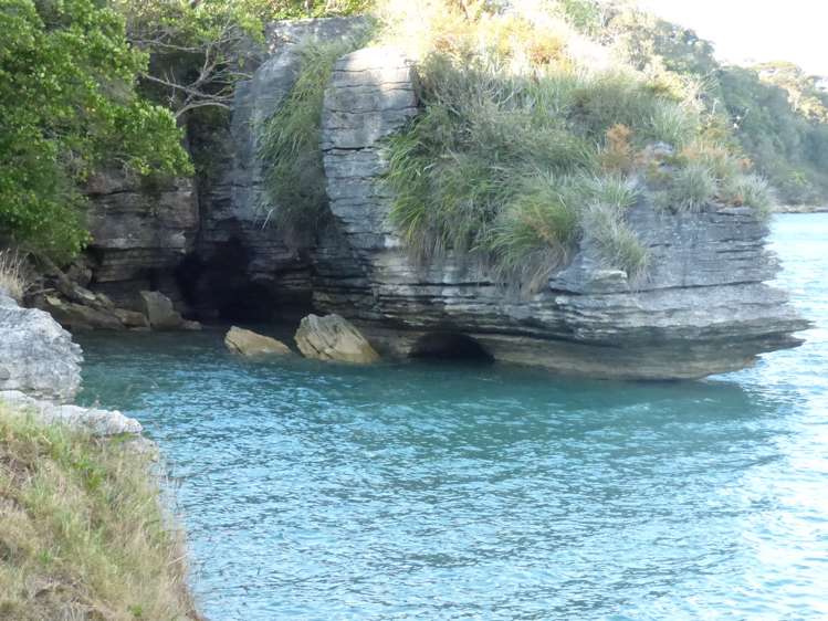 6 Ryan Road Te Akau_26