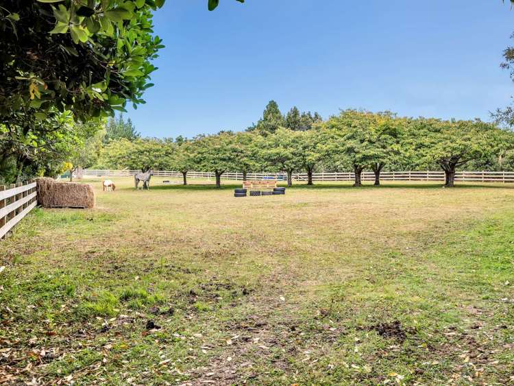 48A Simpson Road Westmere_19