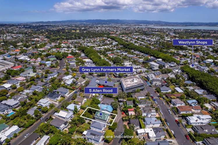 5 Allen Road Grey Lynn_24
