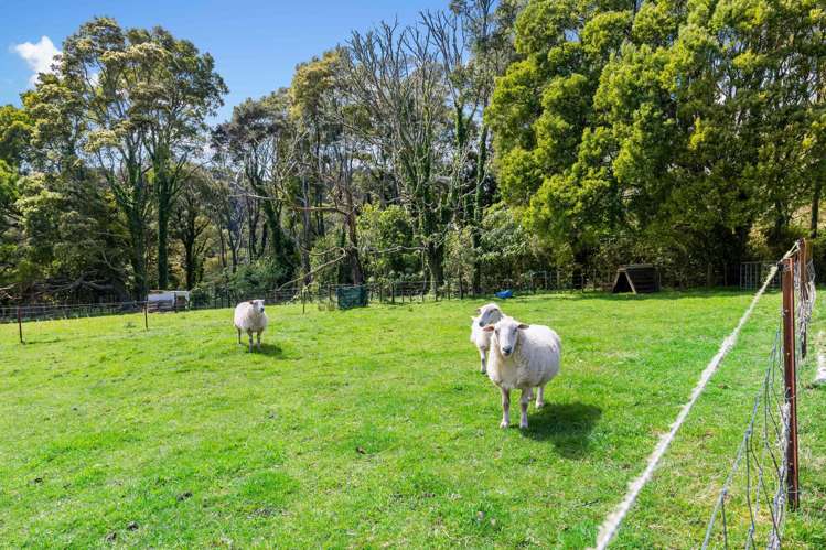 250 Settlement Road Papakura_13