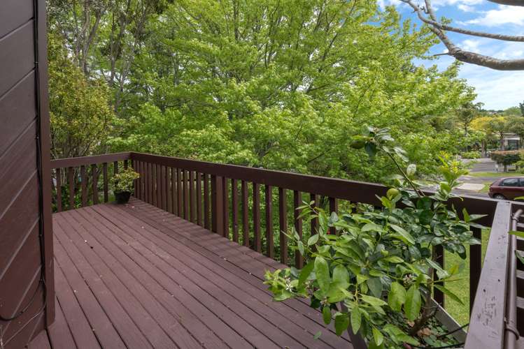 7 Four Trees Cockle Bay_23