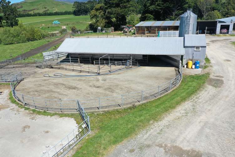 339 Mangaroa Road Eketahuna_2