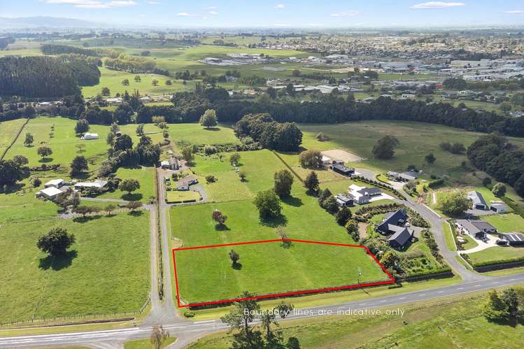 441 Kuranui Road Morrinsville_6