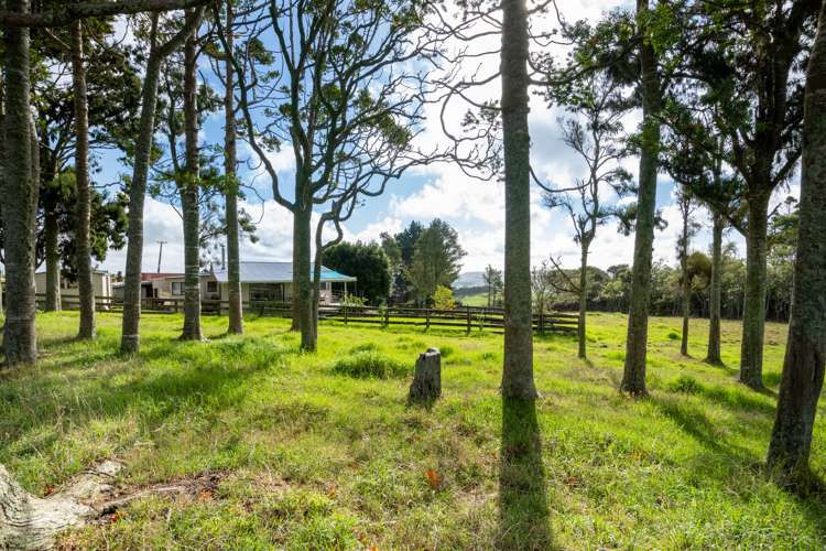 419 Kiwitahi Road Helensville_5