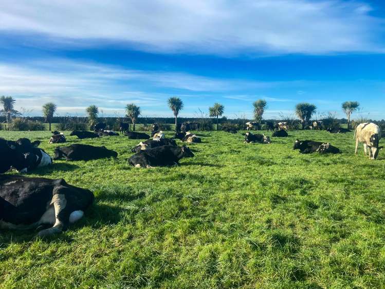 91 King Road Waianiwa_11