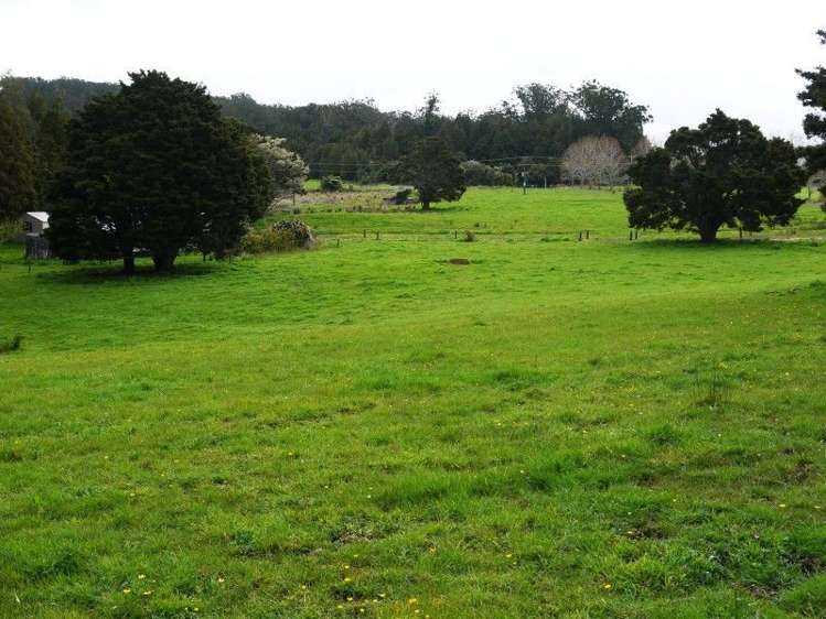 684 Trounson Park Road Dargaville Surrounds_17