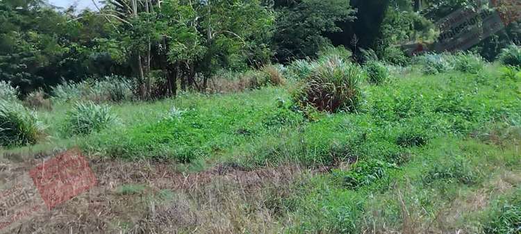 Address withheld Labasa_15