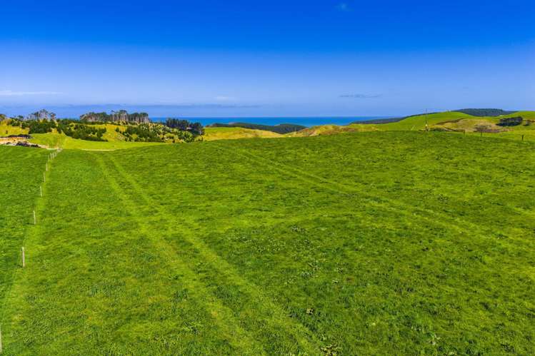 780 Te Maire Road Te Kopuru_27