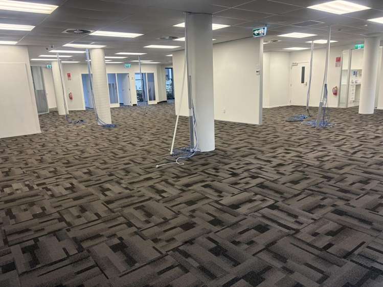 2A Rothwell Avenue Albany_6