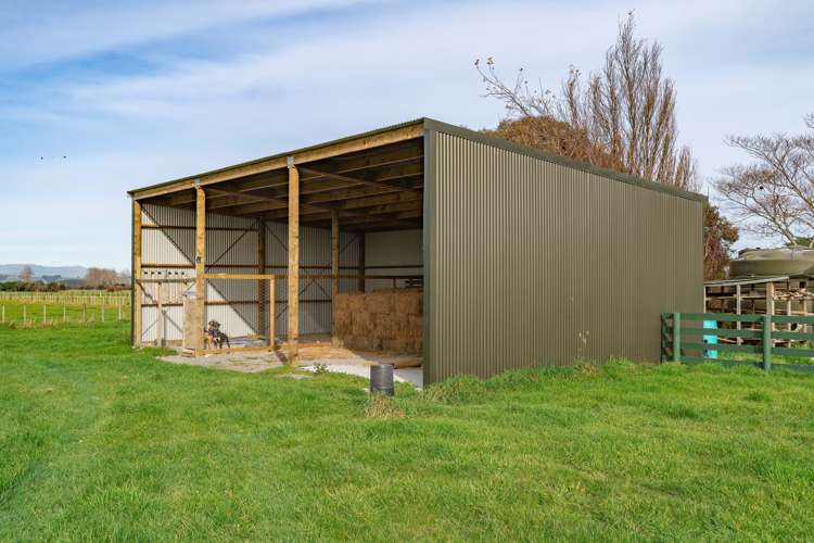 3236 State Highway 2 Clareville_20