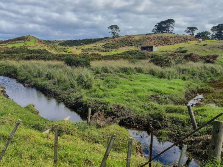 455 Mt Wesley Coast Road Dargaville_23