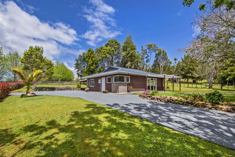 151 Millington Road Maunu_23