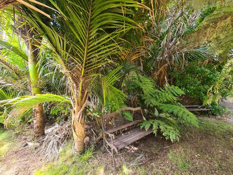 5 Waihirere Drive Coromandel_12