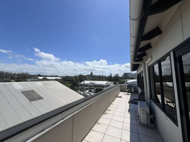 Unit 2/32 Greenpark Road Penrose_2