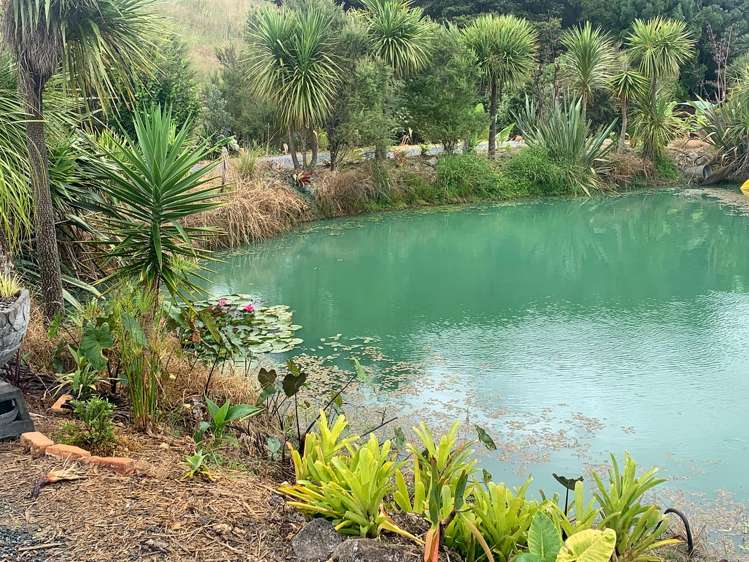 1665 Matapouri Road Matapouri_9