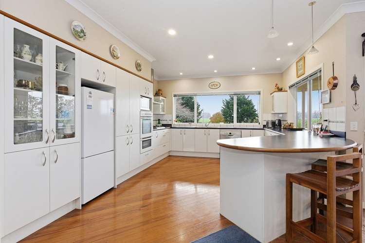 81D Horrell Road Morrinsville_12