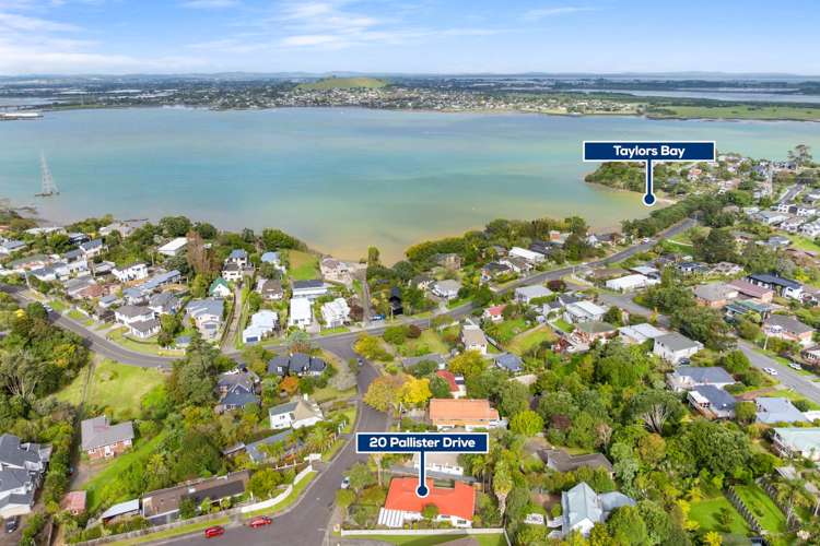 20 Pallister Drive Hillsborough_24