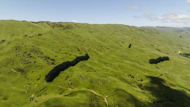 1337 Coonoor Road Pahiatua_12