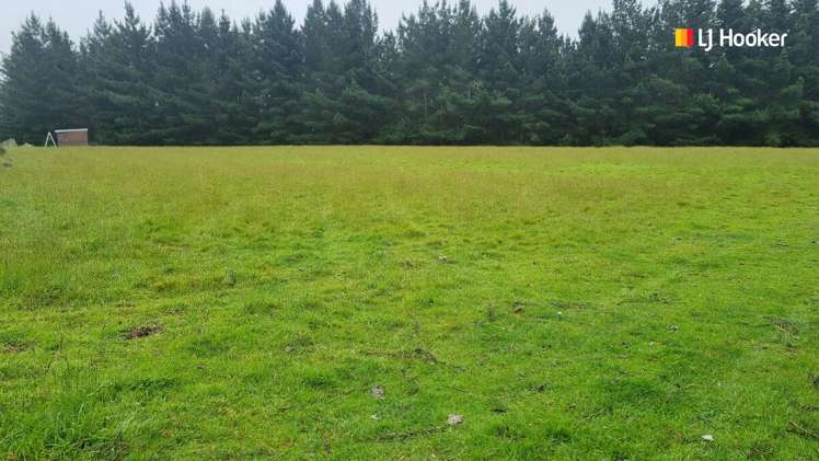 22 Stafford Street Hampden_5