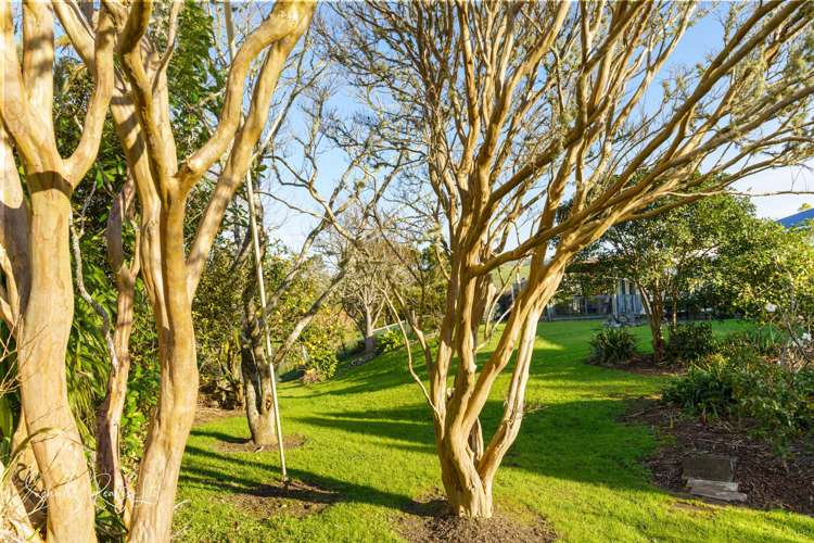 1181 State Highway 12 Maungaturoto_32