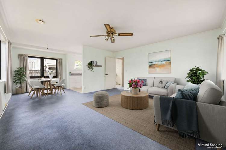 2a Nukumea Common Orewa_1