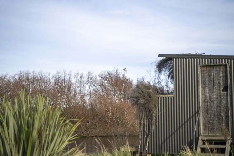 16 Factory Road Thornbury_6