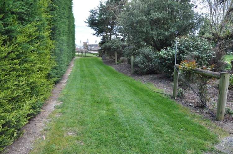 62 Rutland Street Riversdale_13