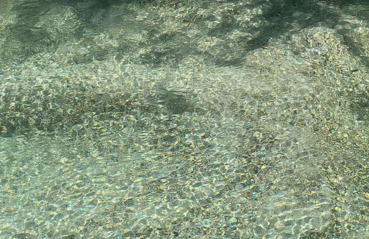 9c Mangaone Road Rotoma_17