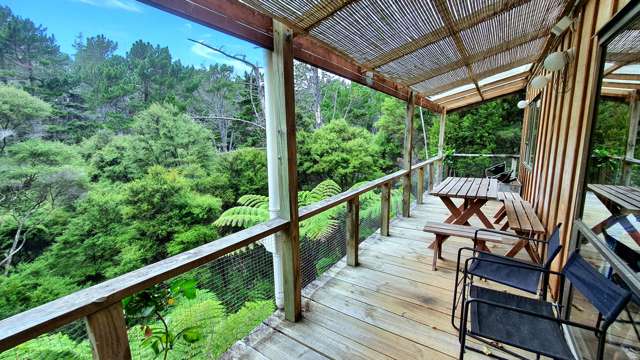 46 Schoolhouse Bay Road Kawau Island_1