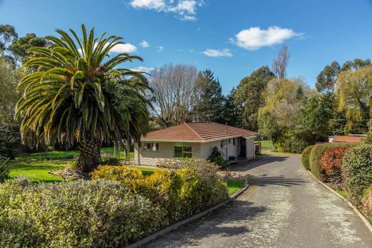 445 Terrace Road Sefton_0