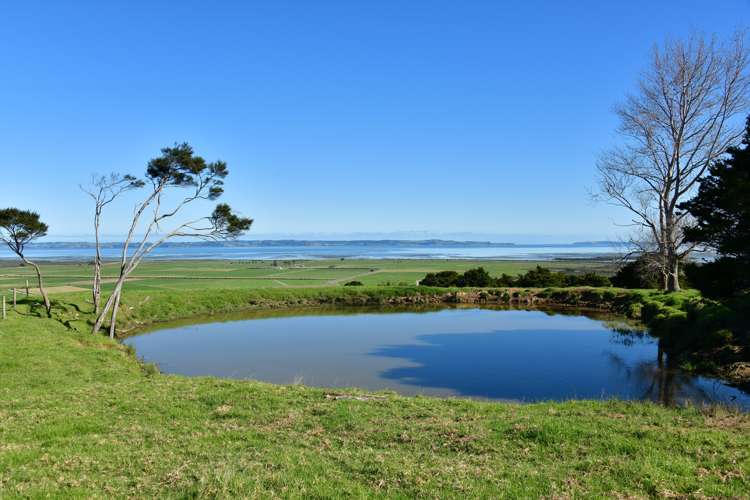 3356 Kaipara Coast Highway Glorit_7