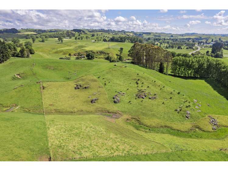 80 State Highway 3 Piopio_23