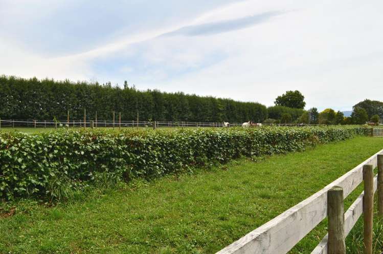 64 Bridge St Onga Onga_21