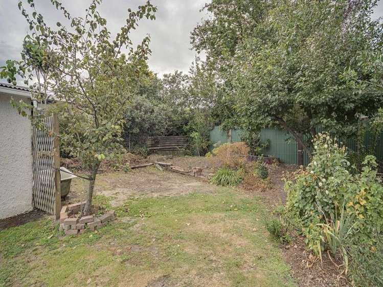 23 Palm Avenue Stoke_21