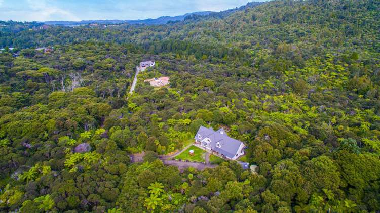 53 Kitewaho Road Swanson_16