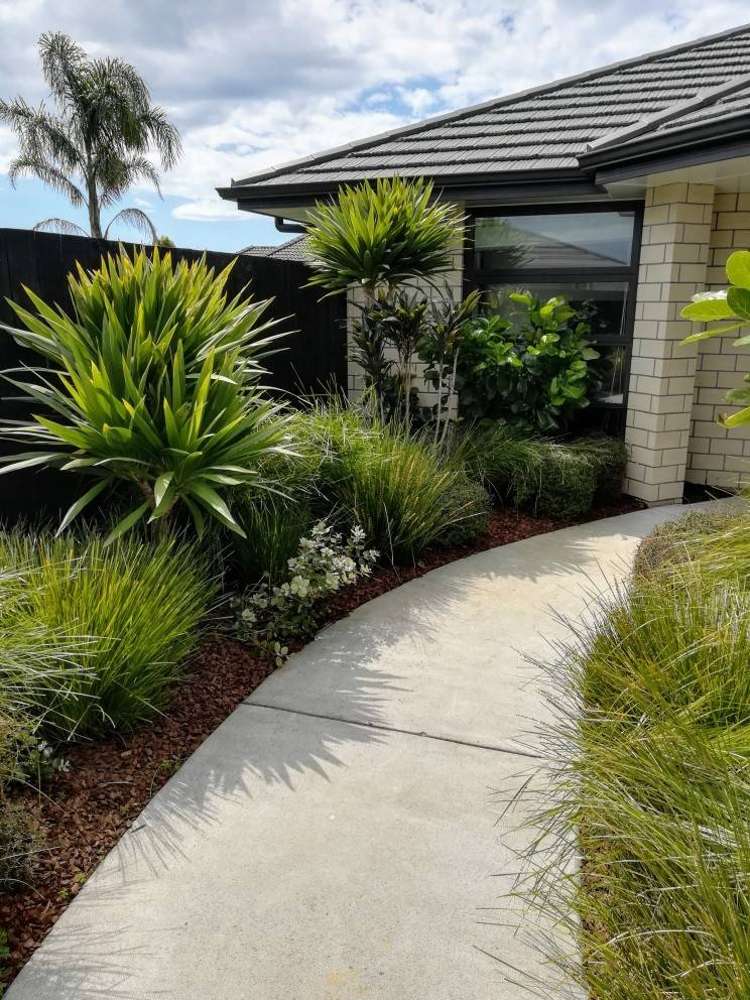 25 Rainey Crescent Papamoa_23