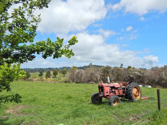 424b Waimate North Road Kerikeri_4