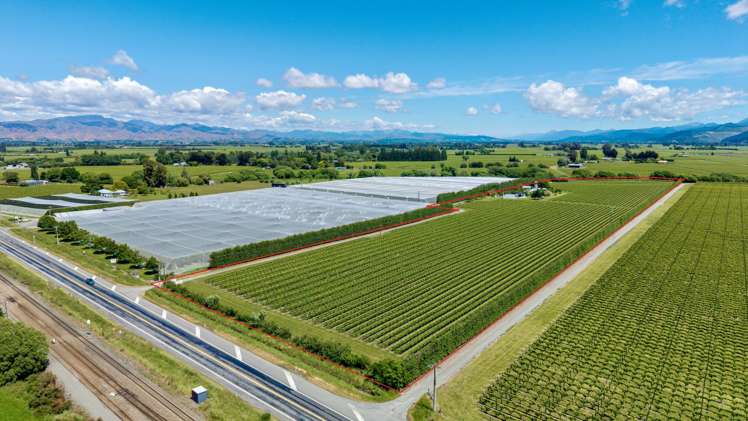 2124 State Highway 1 Spring Creek_36